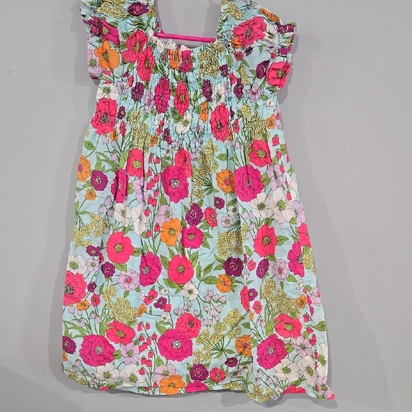 Crazy 8 Other - Crazy 8 Pink and Red Smocked Sundress with Flutter Sleeves